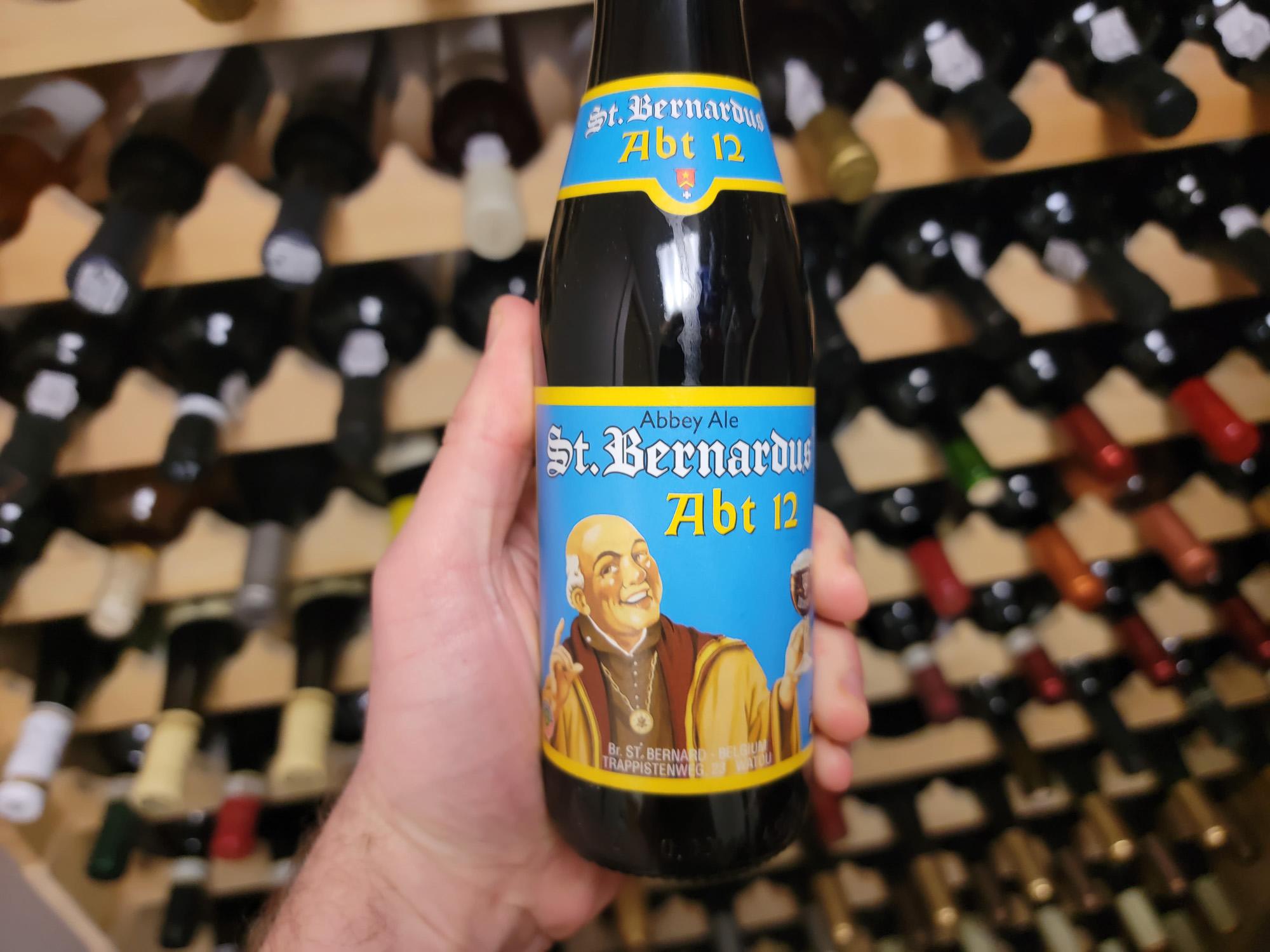 St Bernardus 12