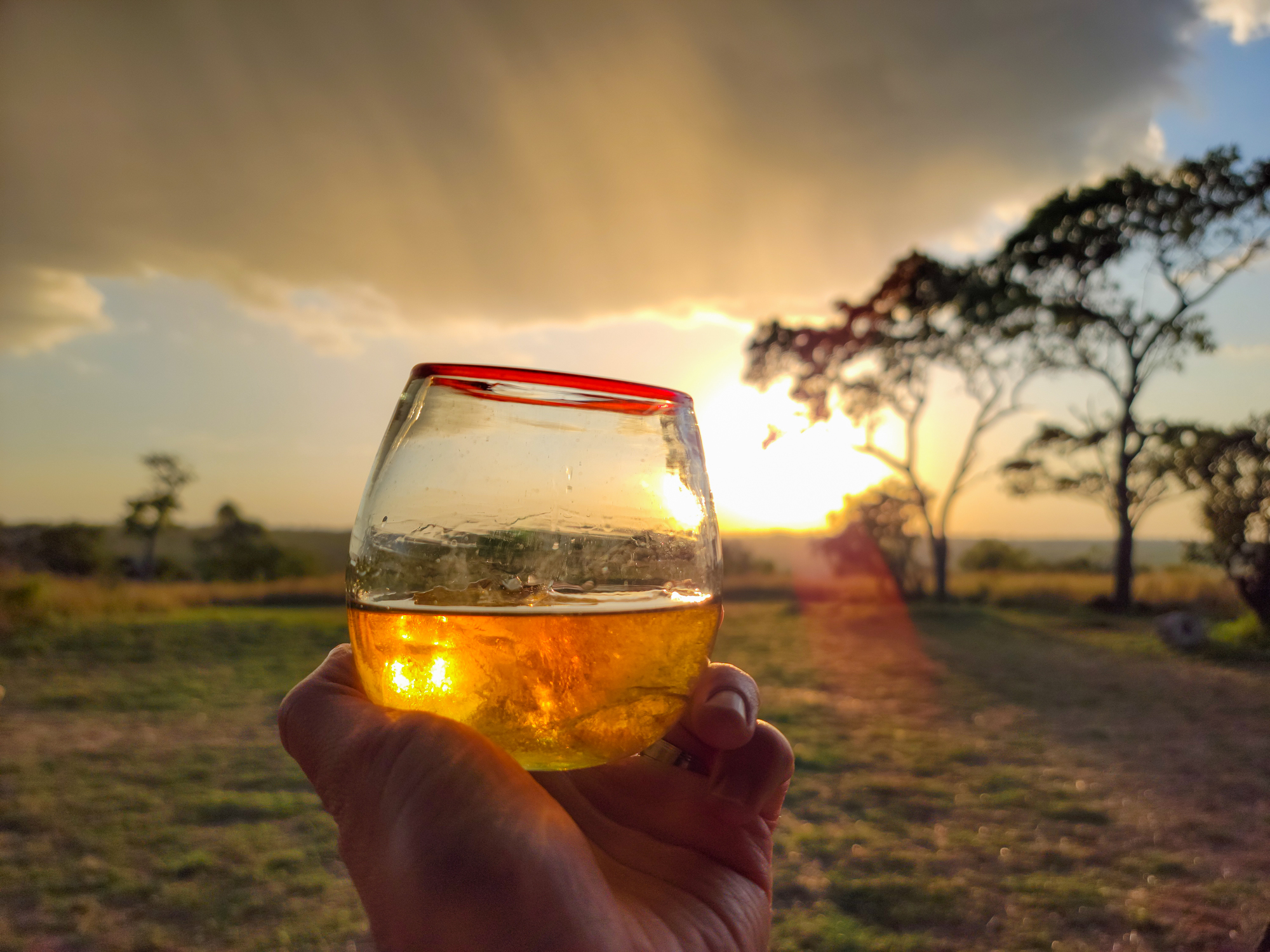 Cocktail at Sunset