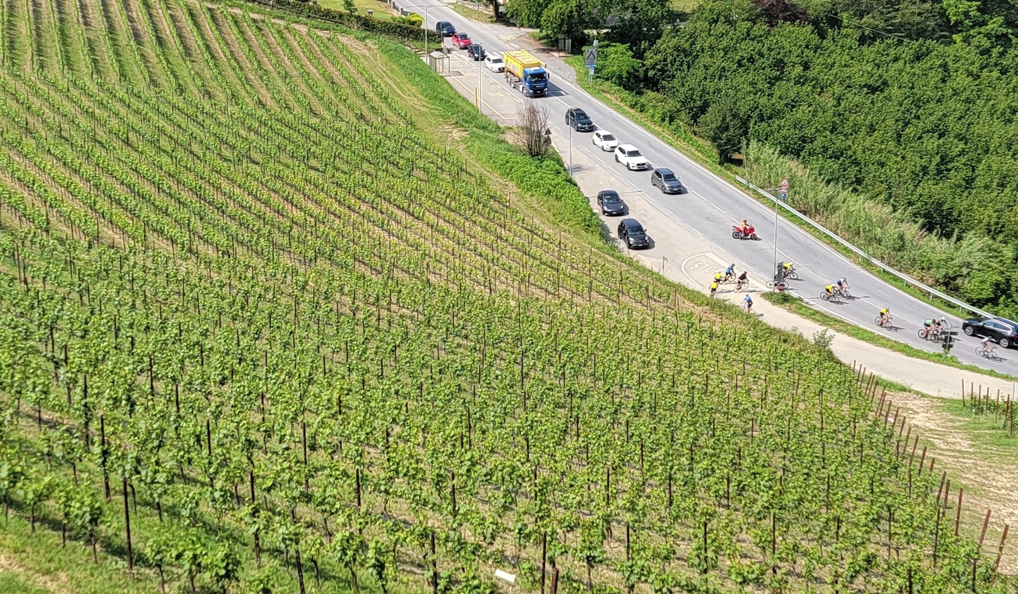 Bikers in Piedmont Wine Country