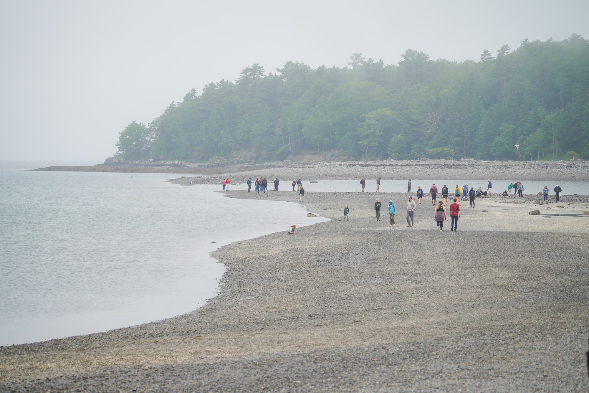 Bar Island Sand Bar