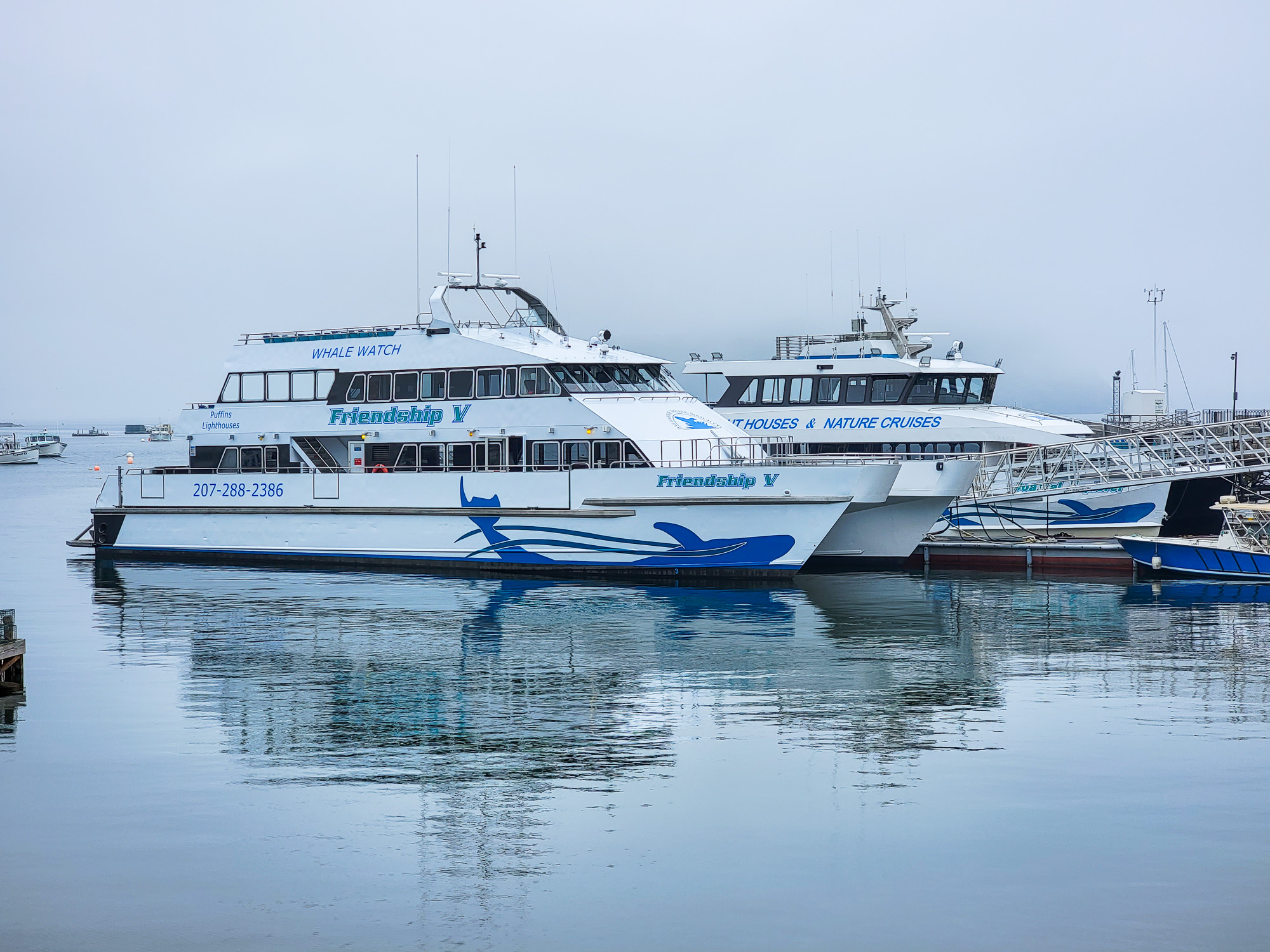 Boat tours in Bar Harbor