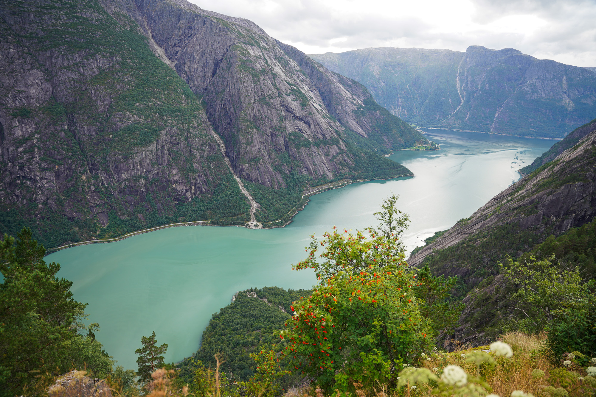 Fjord Views from Kjaesen