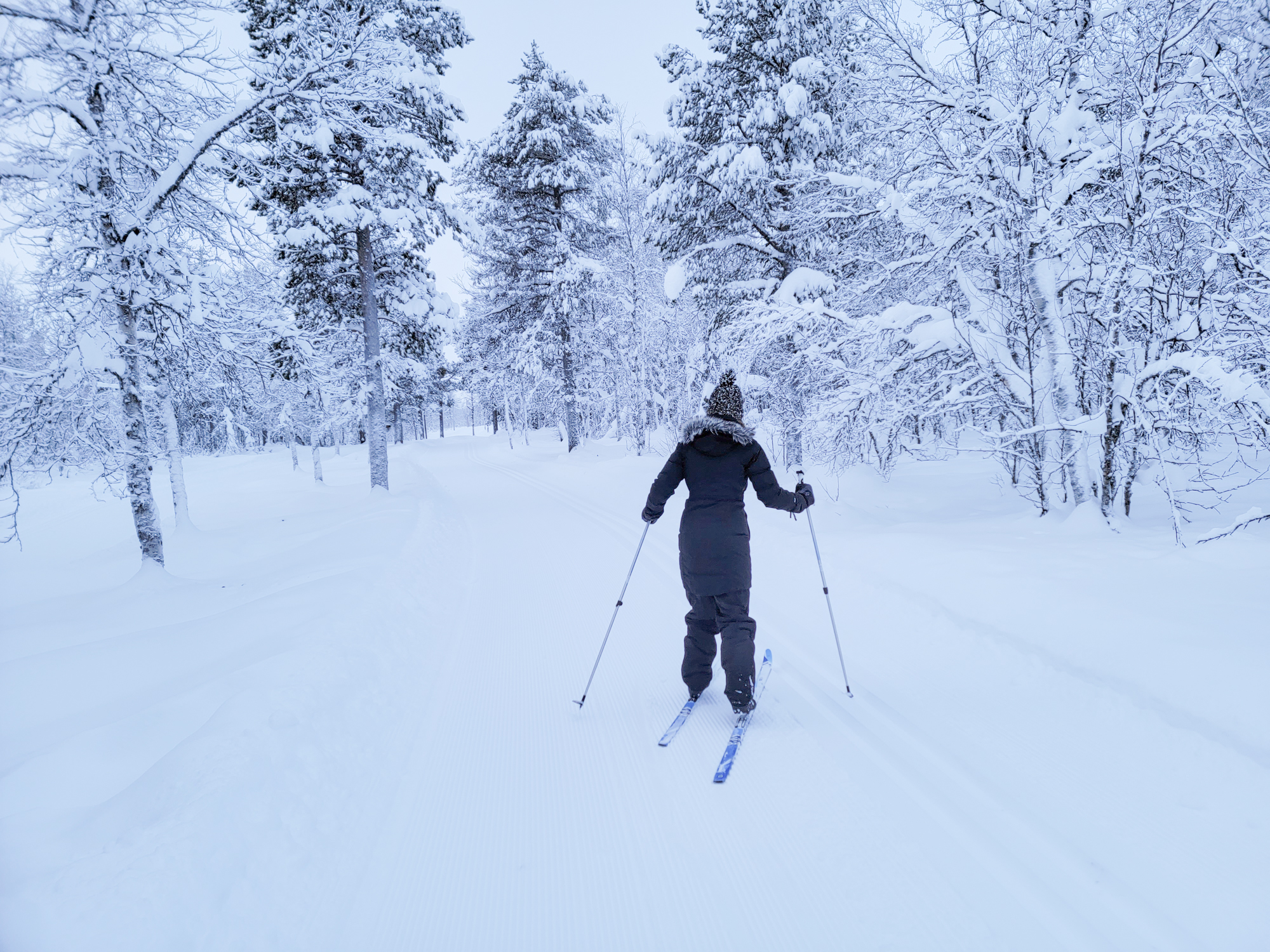 Cross Country Skiing