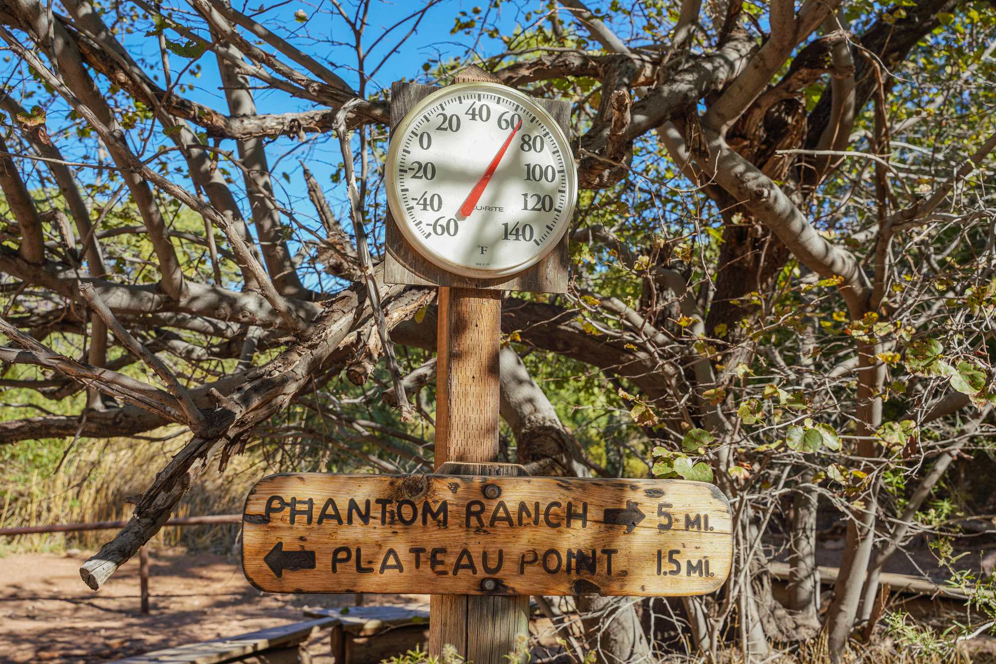 Temperature Gauge in the Grand Canyon