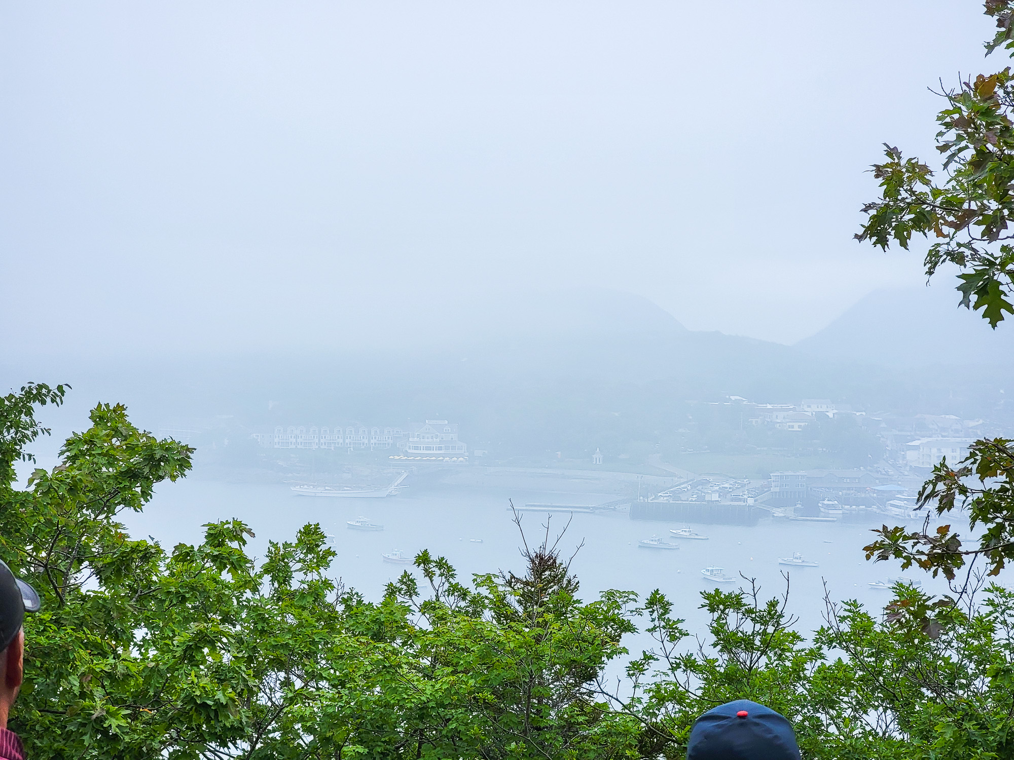 Foggy Viewpoint of Bar Harbor
