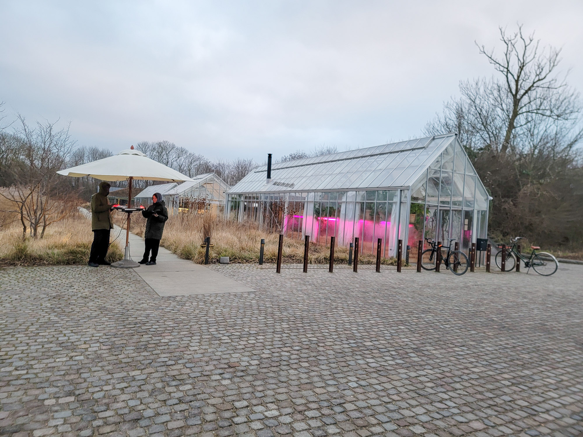 Greenhouse at Noma