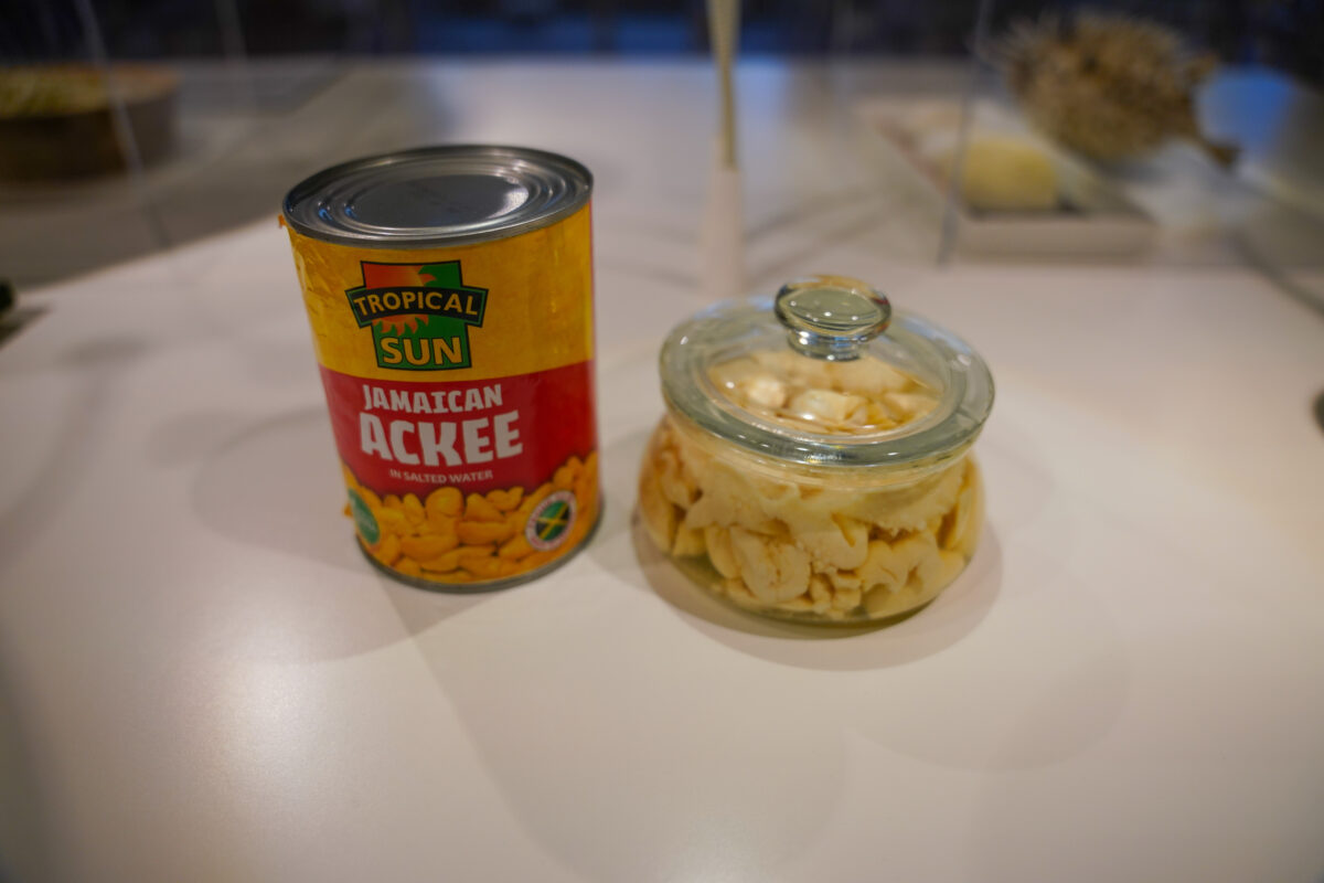 Disgusting Food Museum Disgusting Food Museum