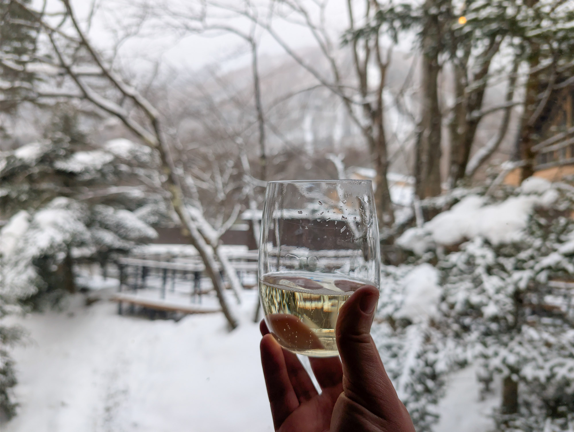 Premium Lounge Drink Premium Lounge Drink