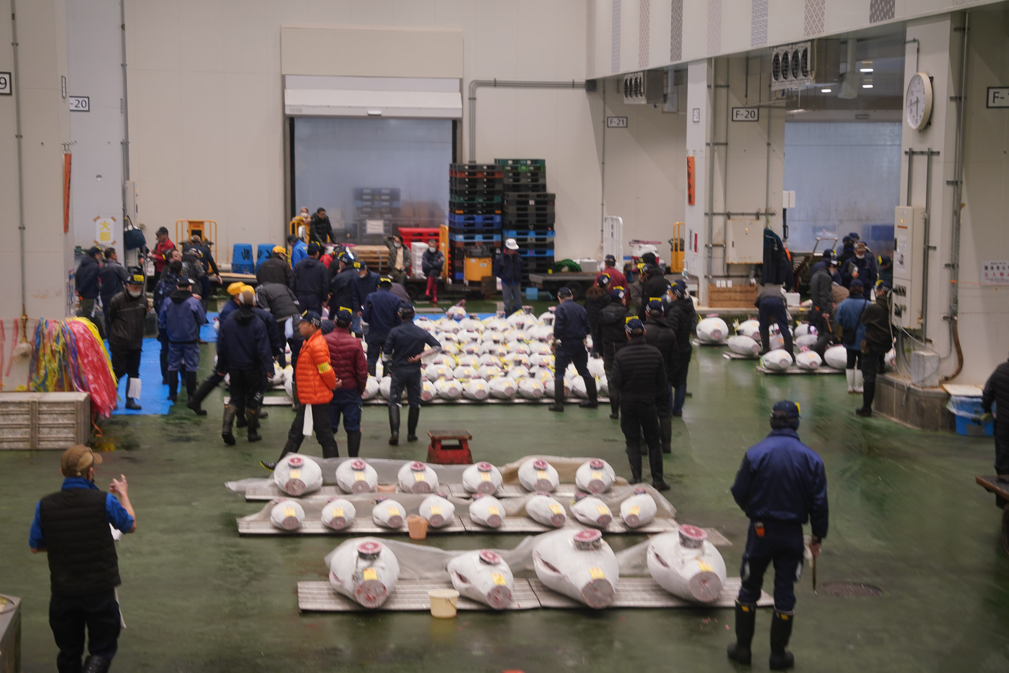 Toyosu Tuna Auction Toyosu Tuna Auction