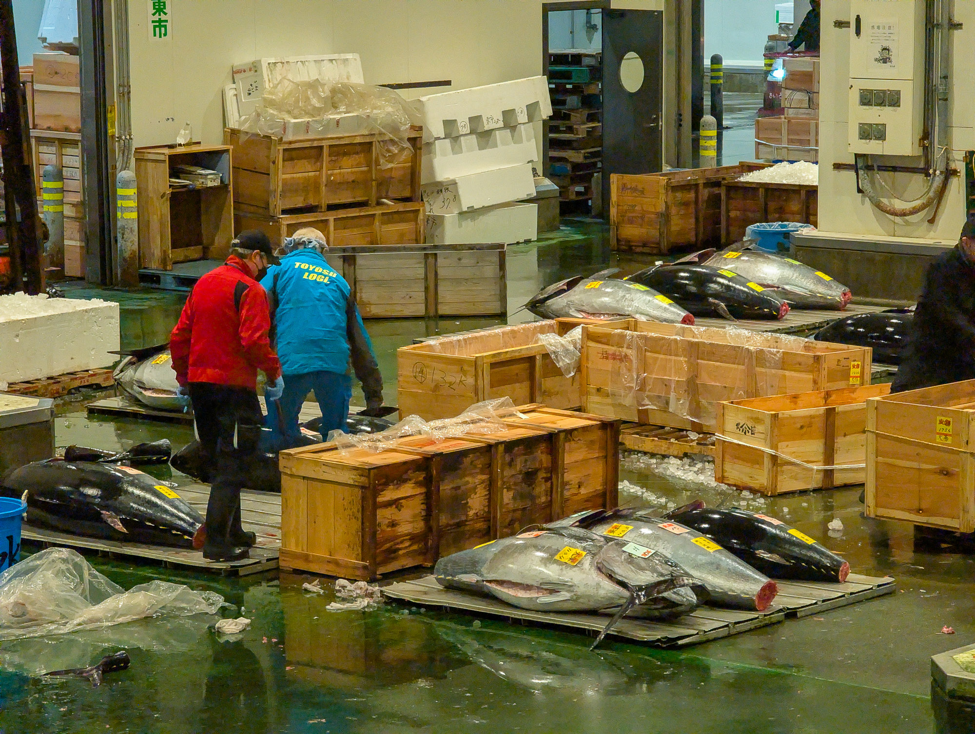 Fresh Tuna Fresh Tuna