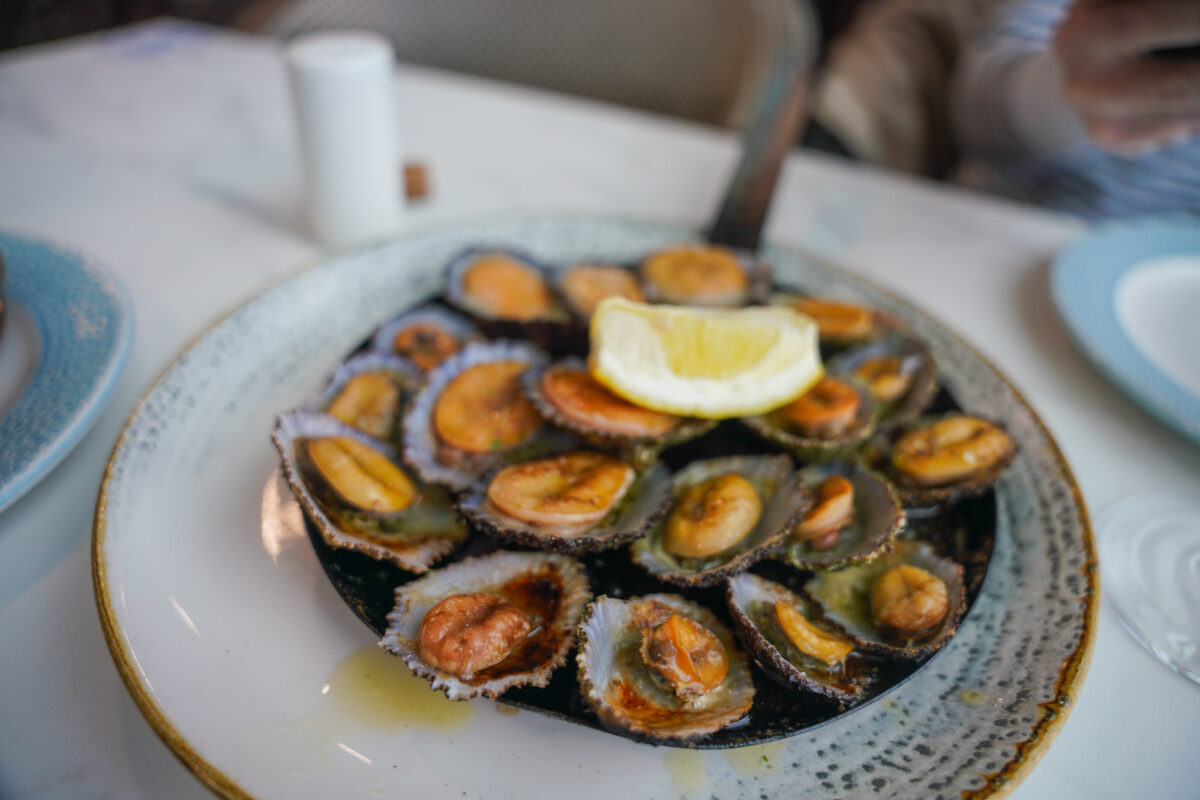 Limpets Limpets