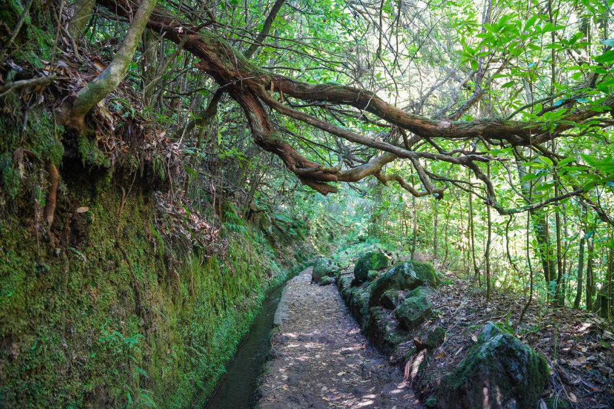 Levada do Caldeirao Verde Levada do Caldeirao Verde