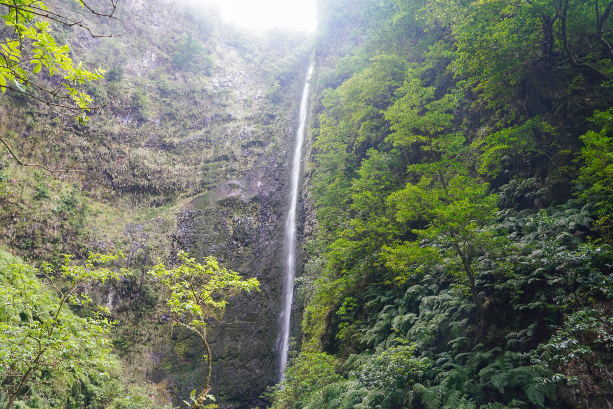Levada do Caldeirao Verde Levada do Caldeirao Verde