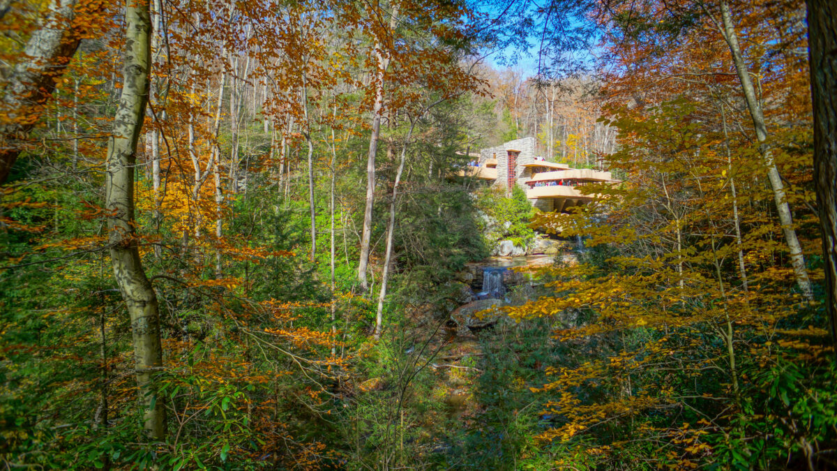 Fallingwater Falling Water