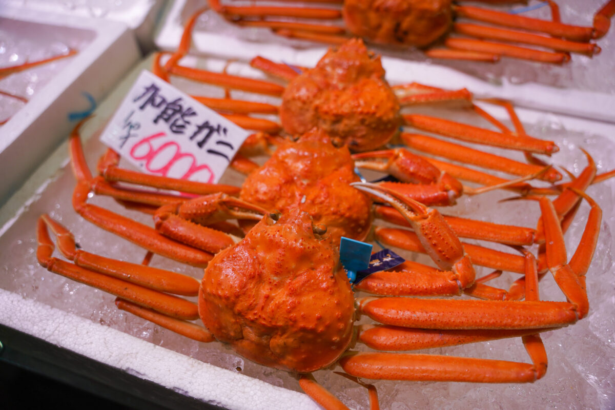 Crab in Kanazawa Crab in Kanazawa