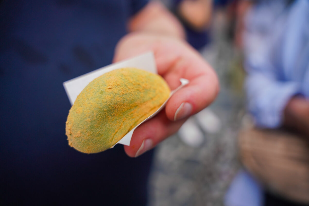 Mochi from Nakatanidou Mochi Shop in Nara Mochi from Nakatanidou Mochi Shop in Nara