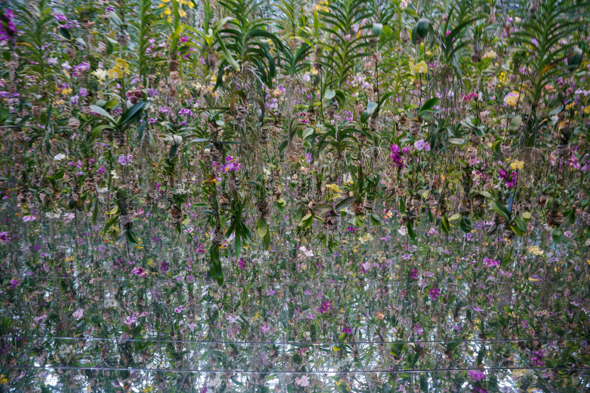 Floating Flower Garden Floating Flower Garden
