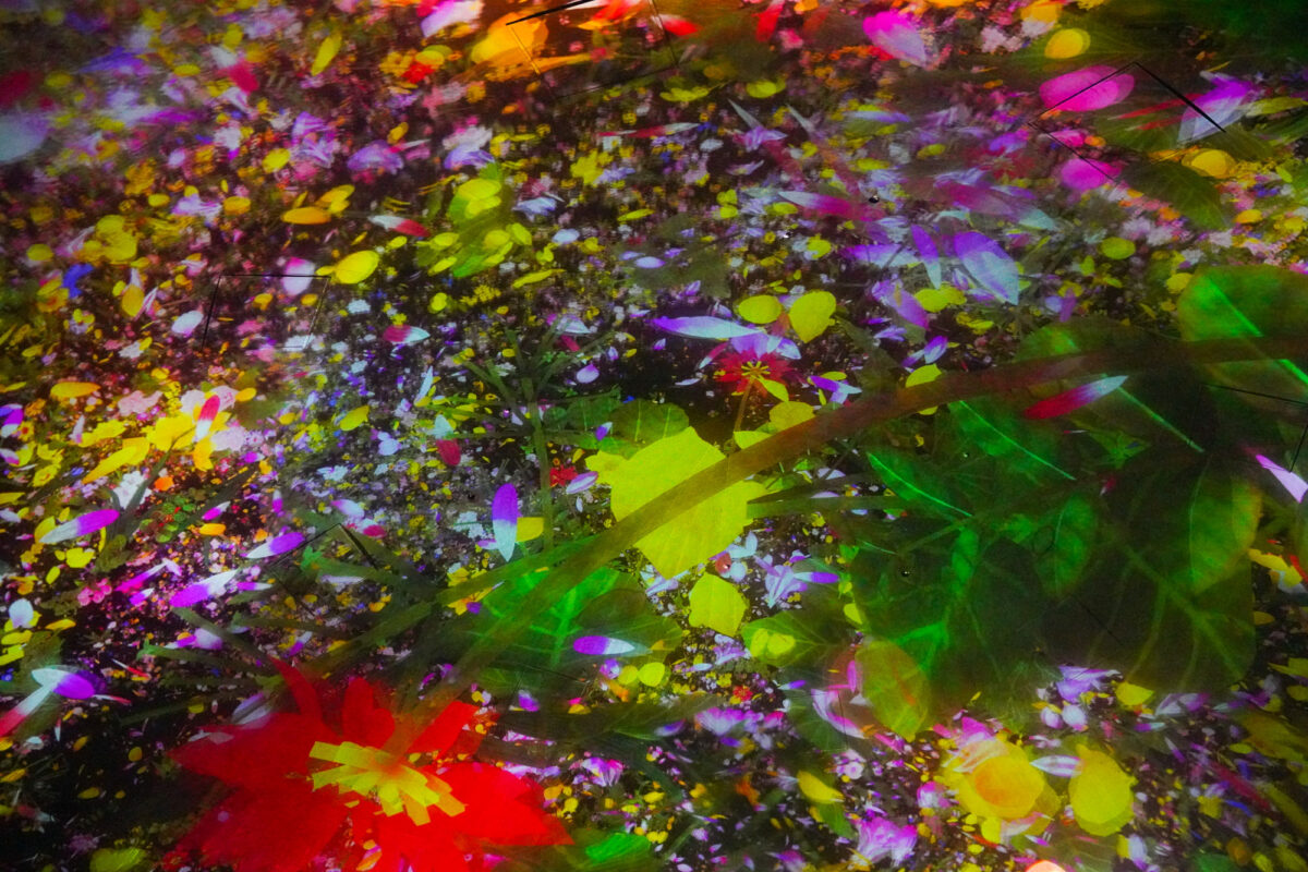 Endless Flowers Endless Flowers
